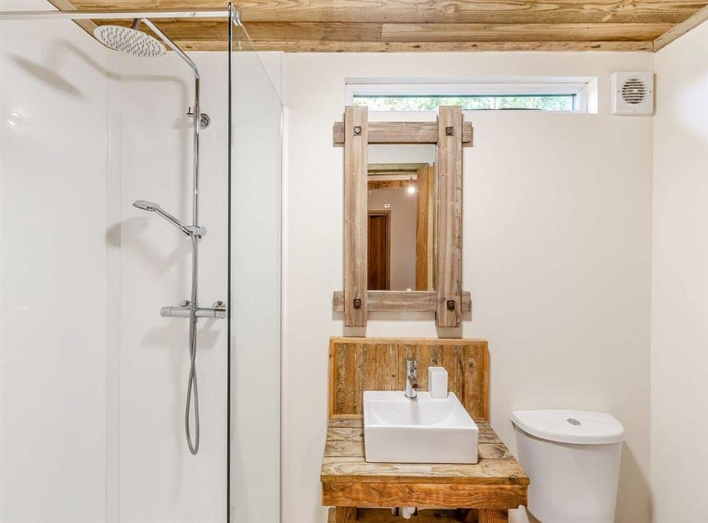 Shower room (photo 2) at Breidden Lodge in Sweeney, near Oswestry, Shropshire