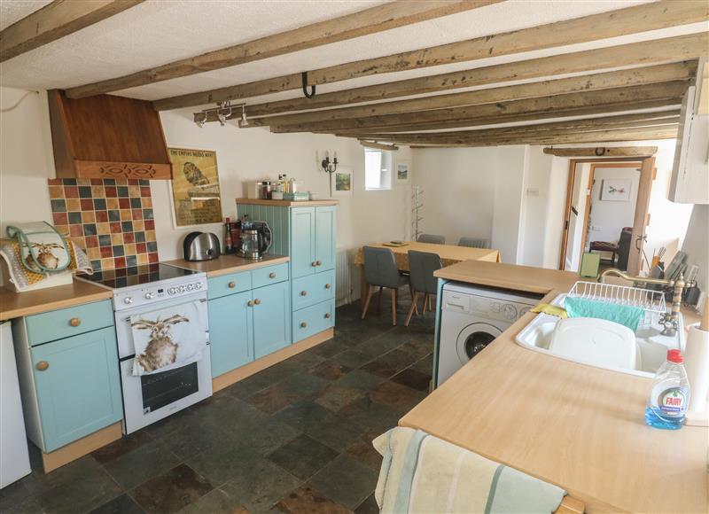 The kitchen at Brewers Cottage, Kings Nympton