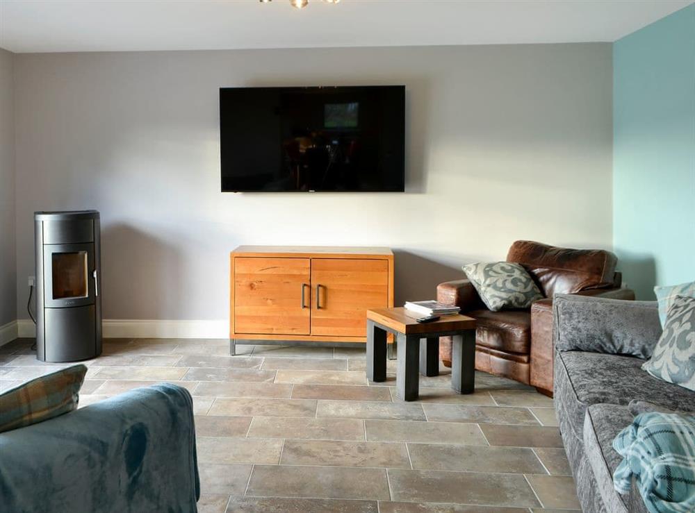 Cosy living area with wood pellet burner at Brewers Cottage in Near Hexham, Northumberland