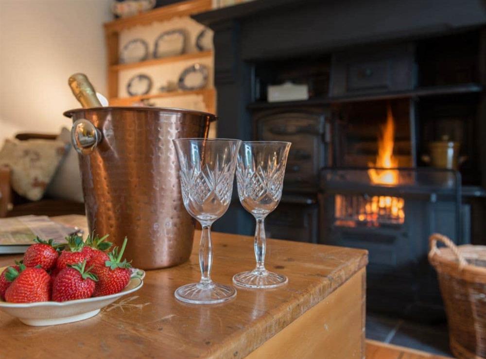 Lovely open fire in living room at Brewery House Cottage in Bishop Middleham, near Durham, England