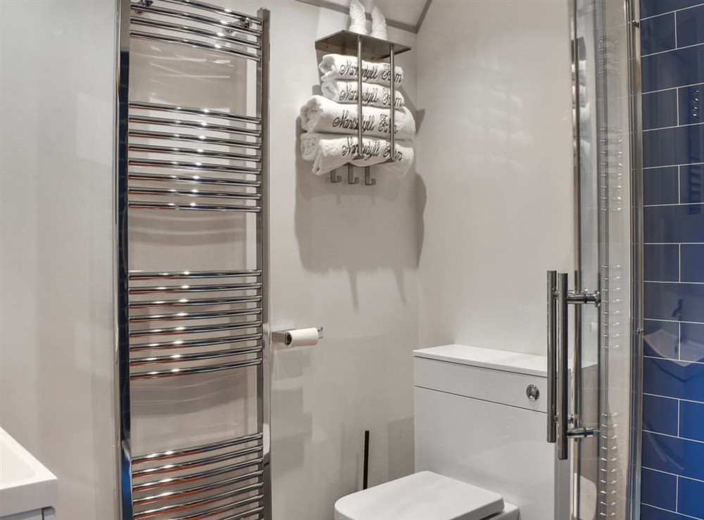 Bathroom at Briallen in Mydroilyn Lampeter, Dyfed