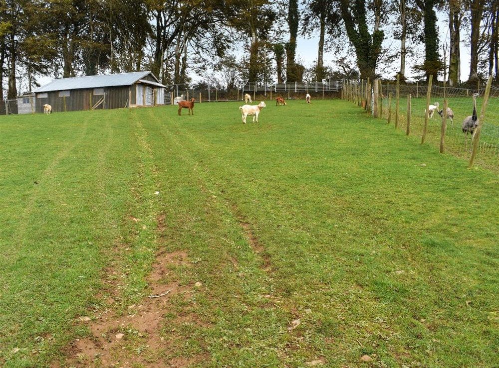 Outdoor at Briallen in Mydroilyn Lampeter, Dyfed
