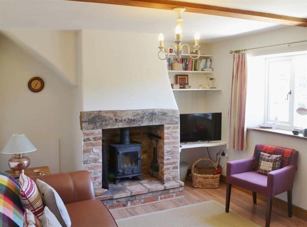 Living room at Briar Cottage in Ingham Corner, near North Walsham, Norfolk
