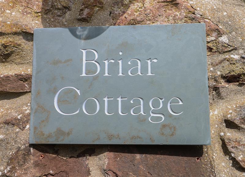 The garden in Briar Cottage at Briar Cottage, Neyland