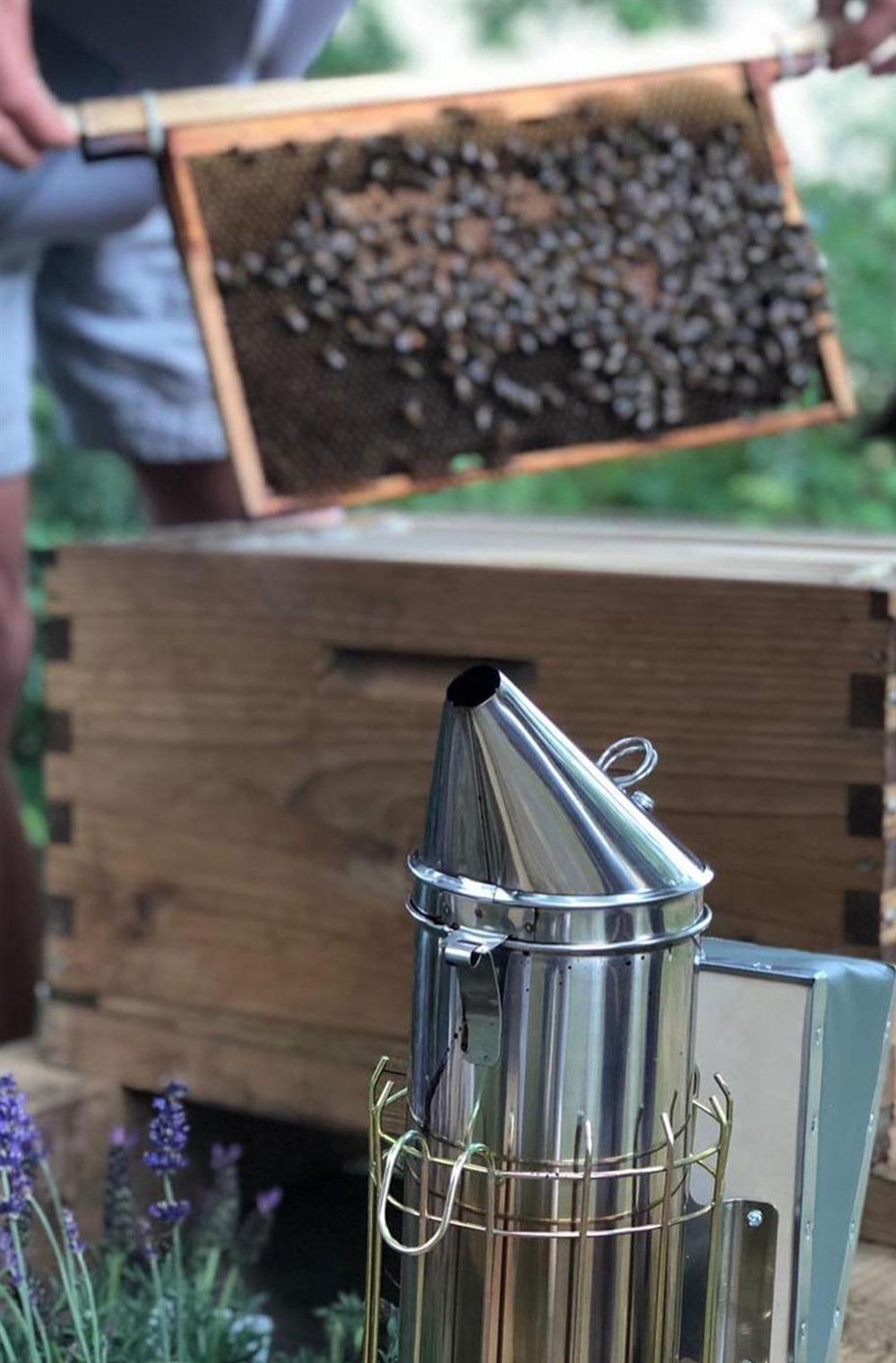 A beehive with a smoker