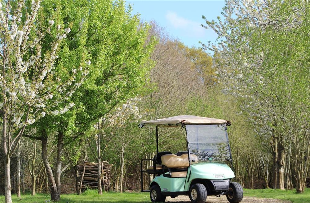 A golf kart surrounded by woodland