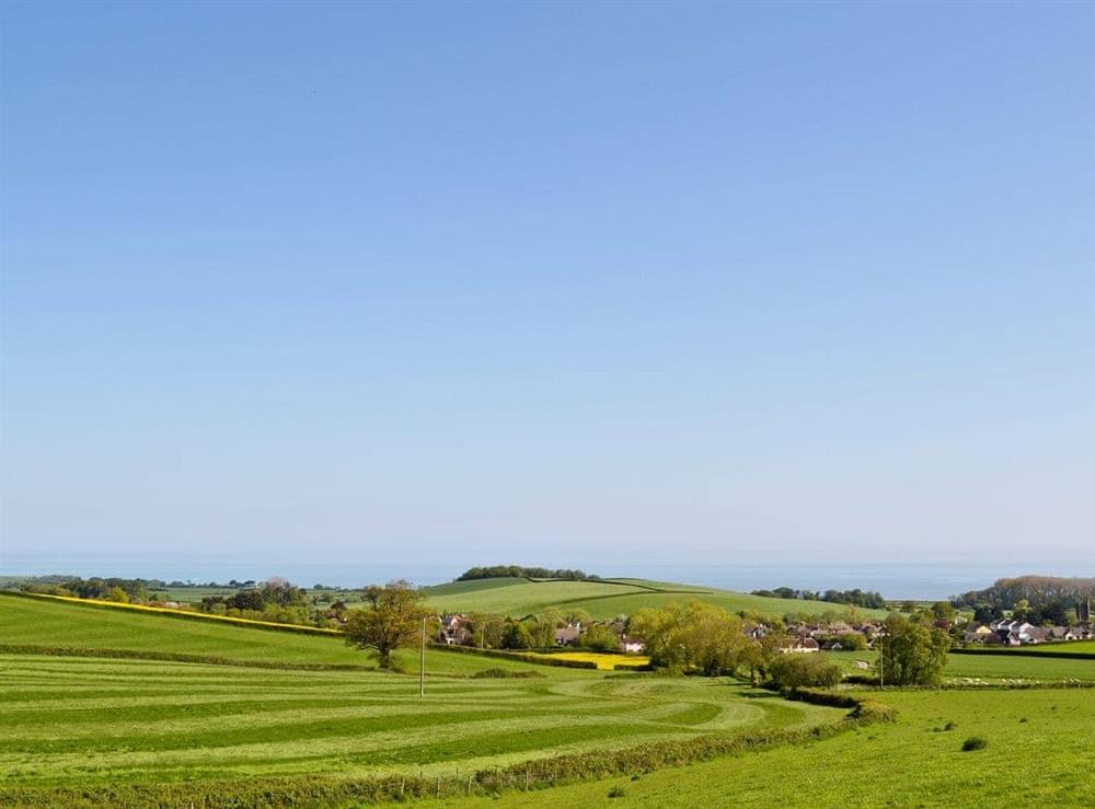 Beautiful surrounding countryside (photo 2) at Briddicott Farm Cottage in Carhampton, Minehead, Somerset