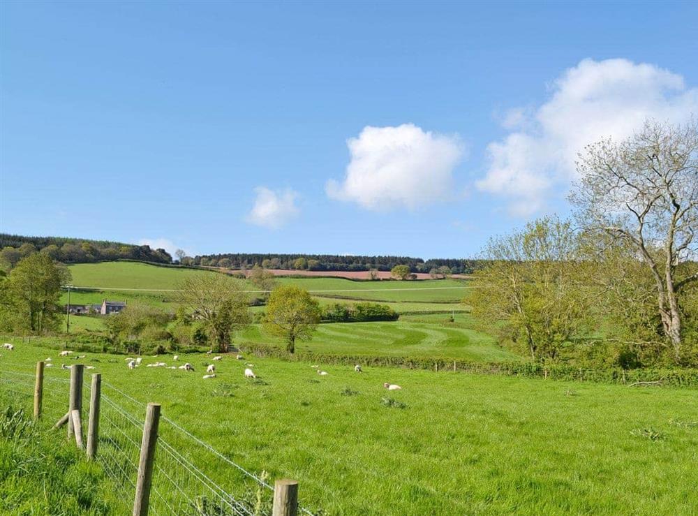 Beautiful surrounding countryside at Briddicott Farm Cottage in Carhampton, Minehead, Somerset