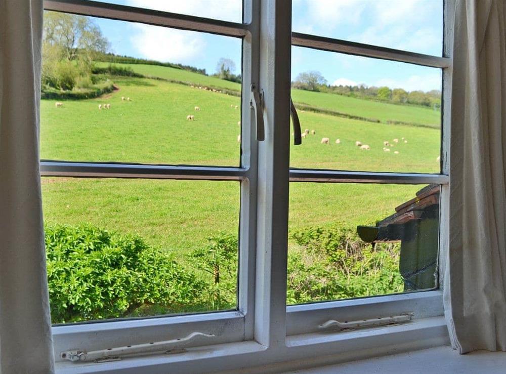 Wonderful views from cottage at Briddicott Farm Cottage in Carhampton, Minehead, Somerset
