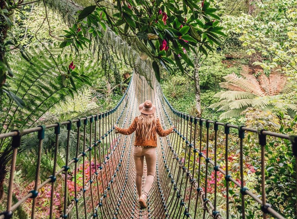 The Burmese rope bridge in The Lost Gardens of Heligan at Bridge Cottage in Lanjeth, near St Austell, Cornwall