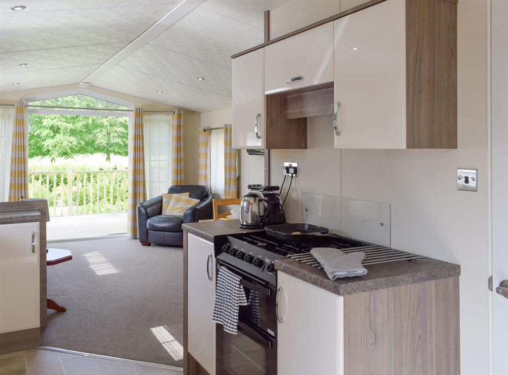 Kitchen area of the open-plan living space at Bridge End Lodge in Dollar, near Stirling, Clackmannanshire