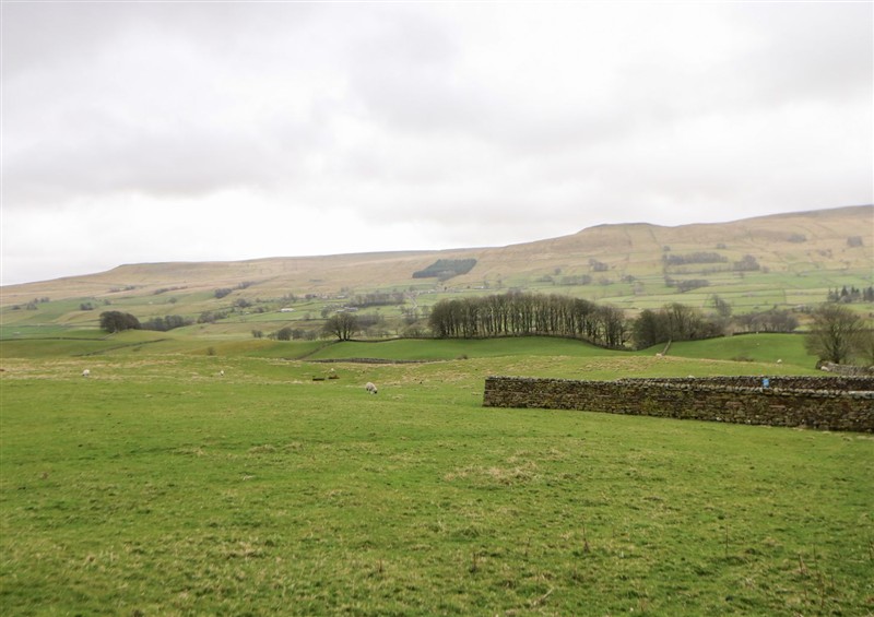 The garden at Bridge House, Hawes
