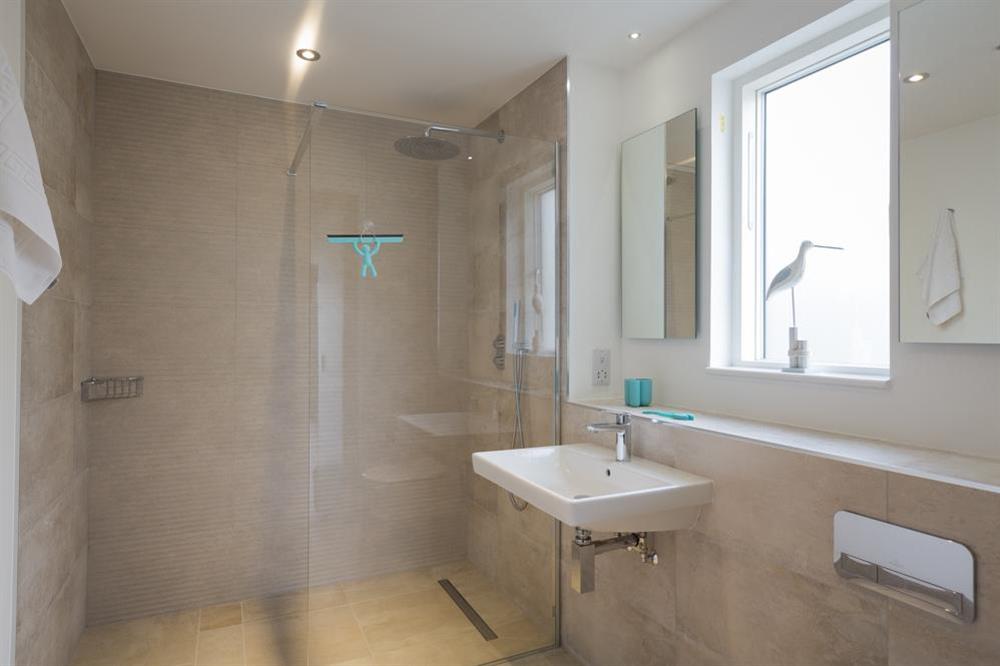 En suite shower room (photo 3) at Bridleway House in , Salcombe