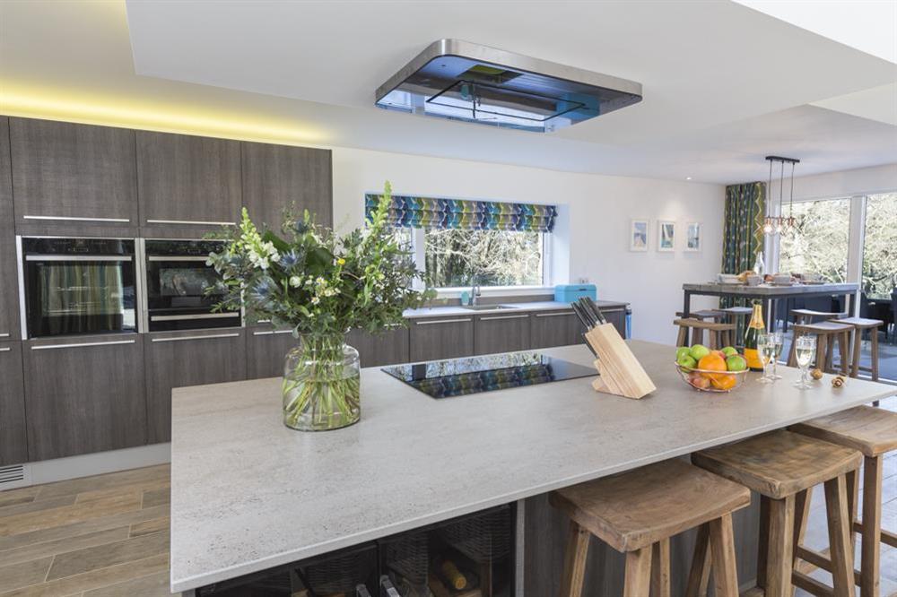 Ultra-modern kitchen with large central island (photo 2) at Bridleway House in , Salcombe