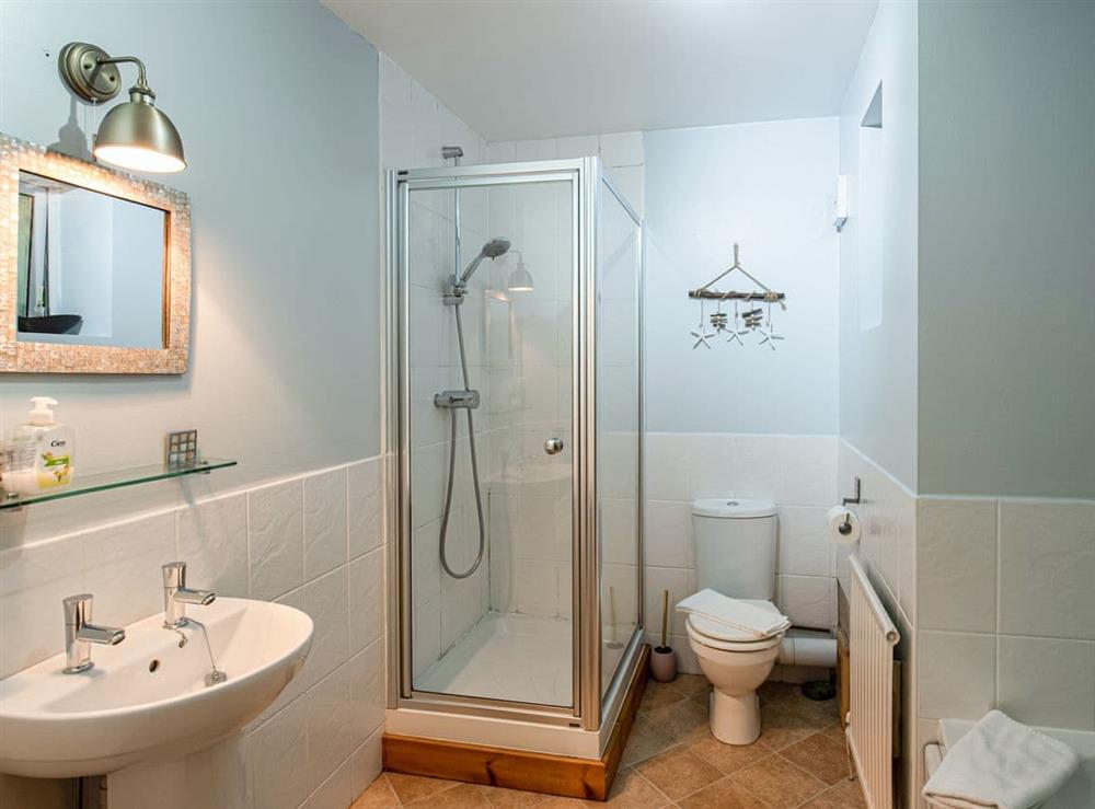 Shower room at Brig Y Don<br /> in Aberaeron, Dyfed