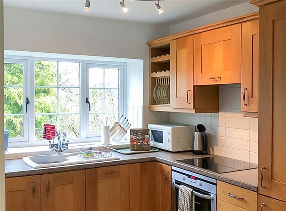 Kitchen area at Brigand in Membury, near Axminster, Devon