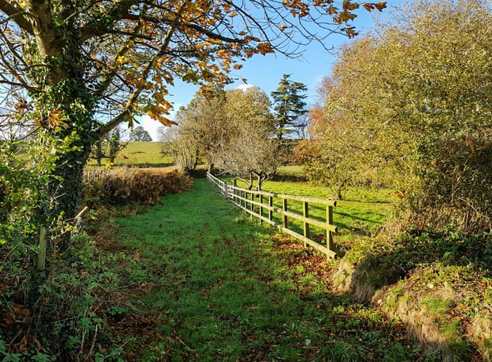 Surrounding area (photo 5) at Brigand in Membury, near Axminster, Devon