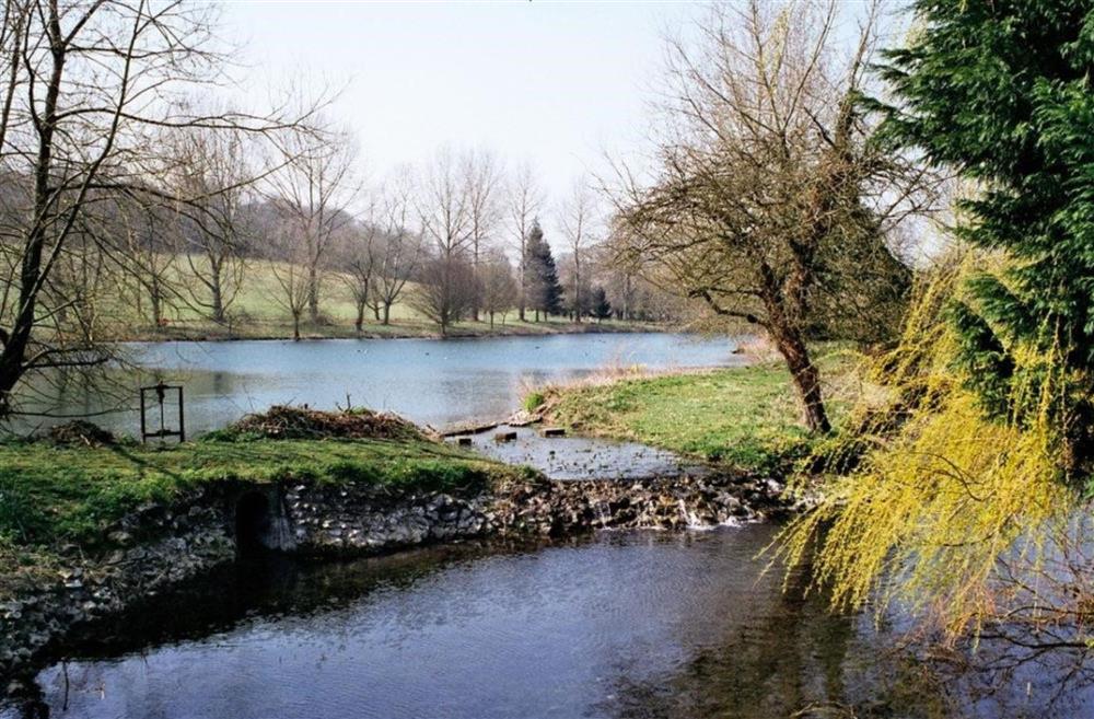 The river near