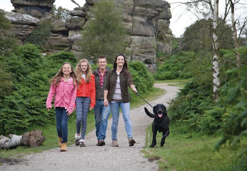 Photo 12 at Brimham Rocks Cottages in Yorkshire Dales, North of England