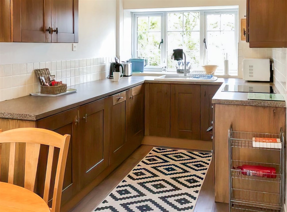 Kitchen at Britannia in Membury, near Axminster, Devon