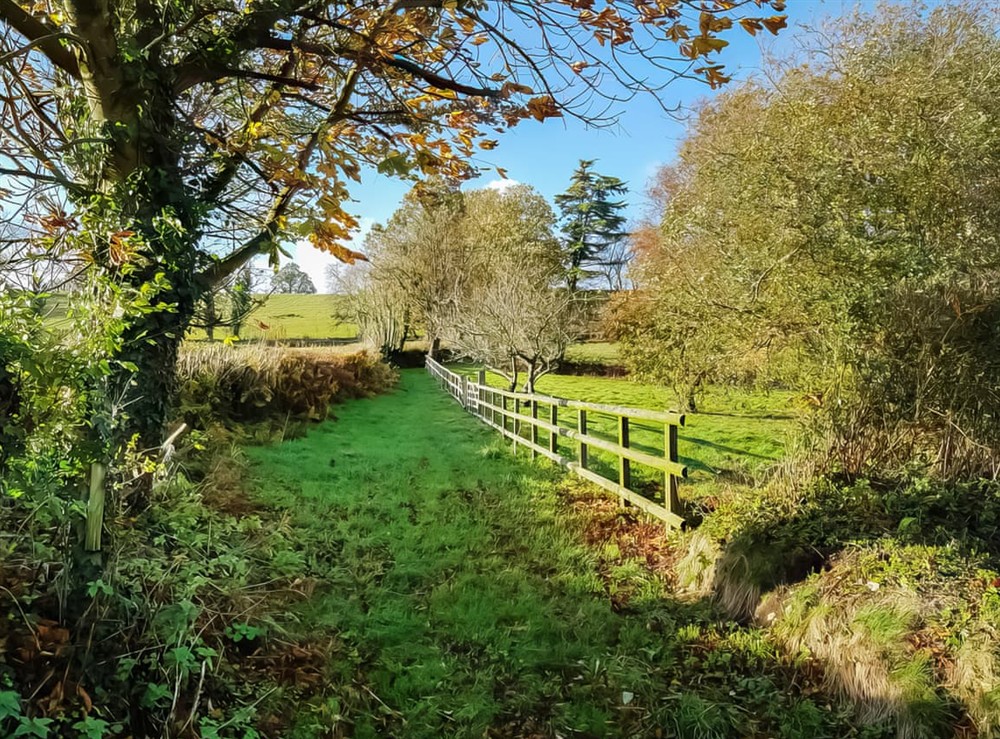 Surrounding area (photo 4) at Britannia in Membury, near Axminster, Devon