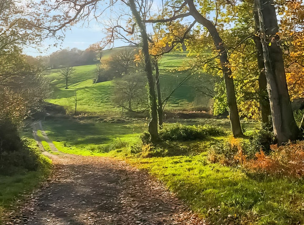 Surrounding area (photo 5) at Britannia in Membury, near Axminster, Devon
