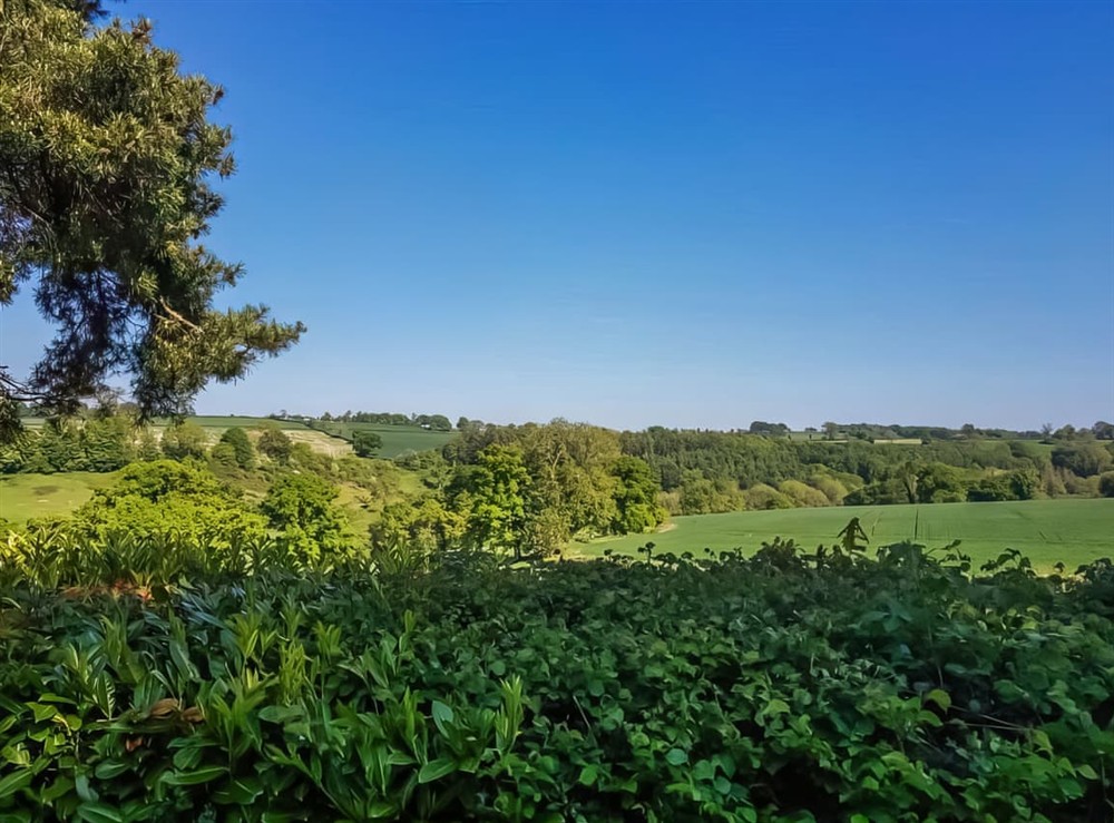 Surrounding area (photo 7) at Britannia in Membury, near Axminster, Devon