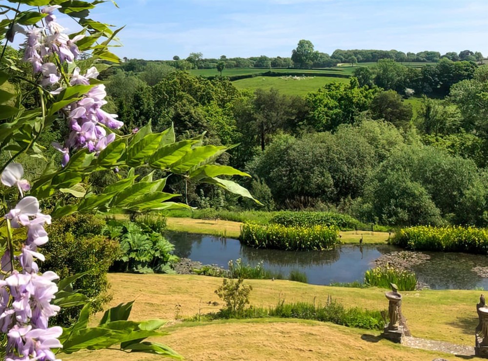 Surrounding area at Britannia in Membury, near Axminster, Devon