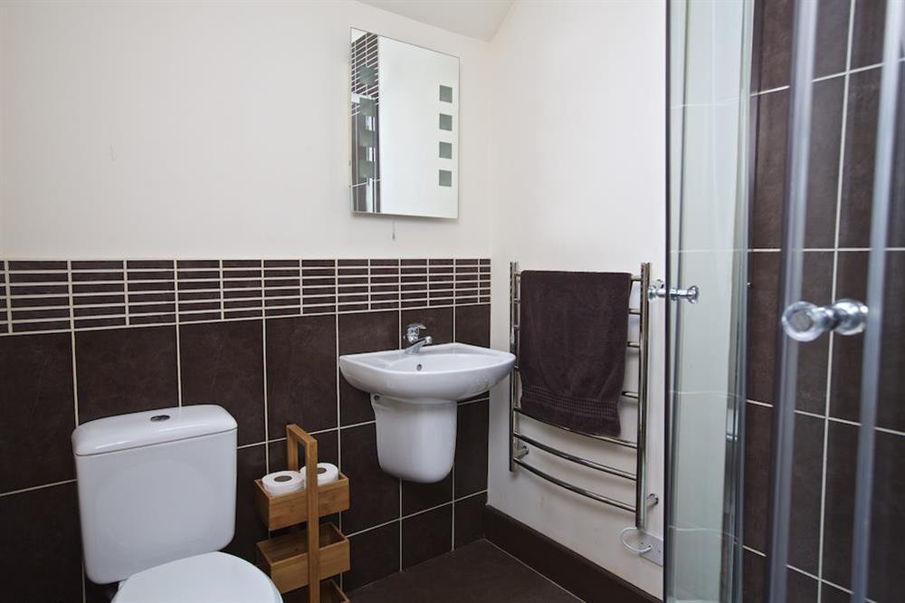 En suite shower room (photo 2) at Broad Downs Barn in Malborough, Nr Salcombe