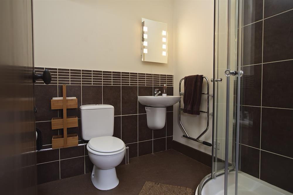 En suite shower room (photo 3) at Broad Downs Barn in Malborough, Nr Salcombe