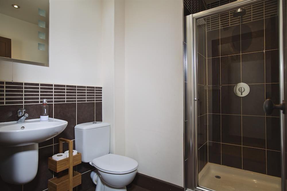En suite shower room at Broad Downs Barn in Malborough, Nr Salcombe