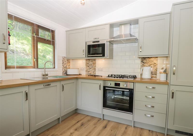 This is the kitchen at Broad Oak Lodge, Limefitt Holiday Park near Windermere