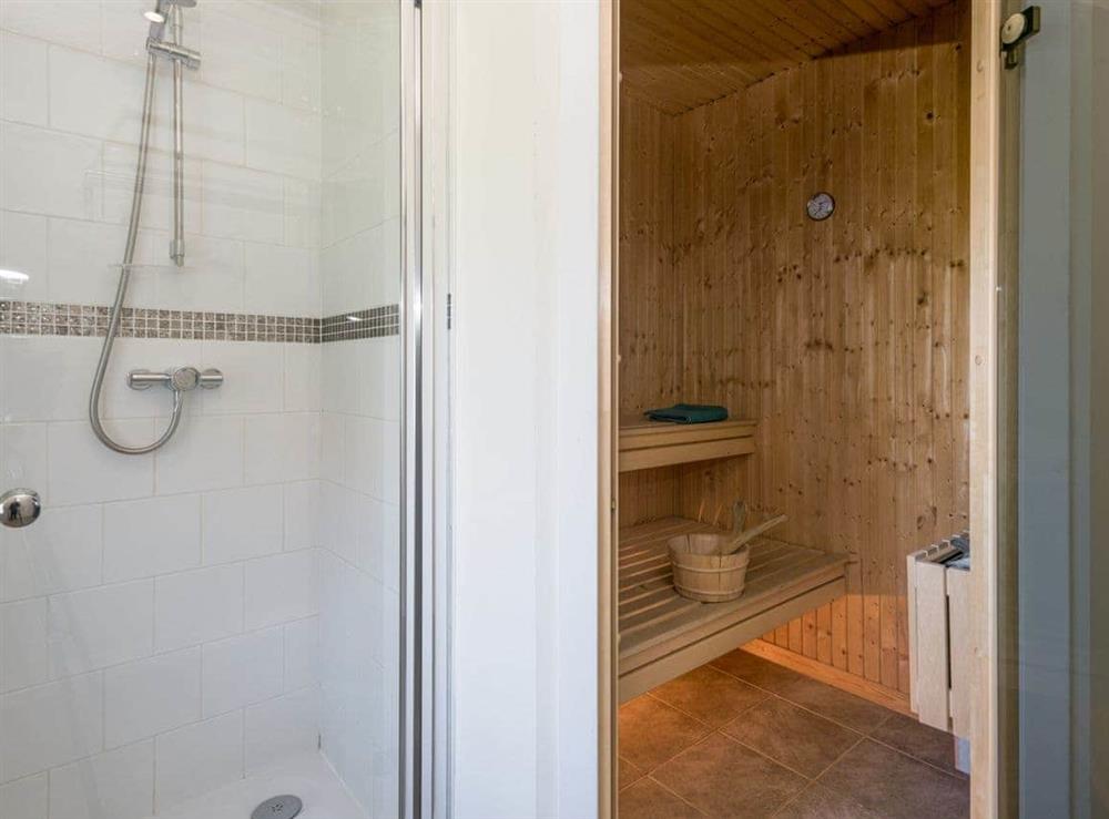 Spa room with sauna and shower (photo 2) at Broad Reach in Fritton, near Great Yarmouth, Norfolk