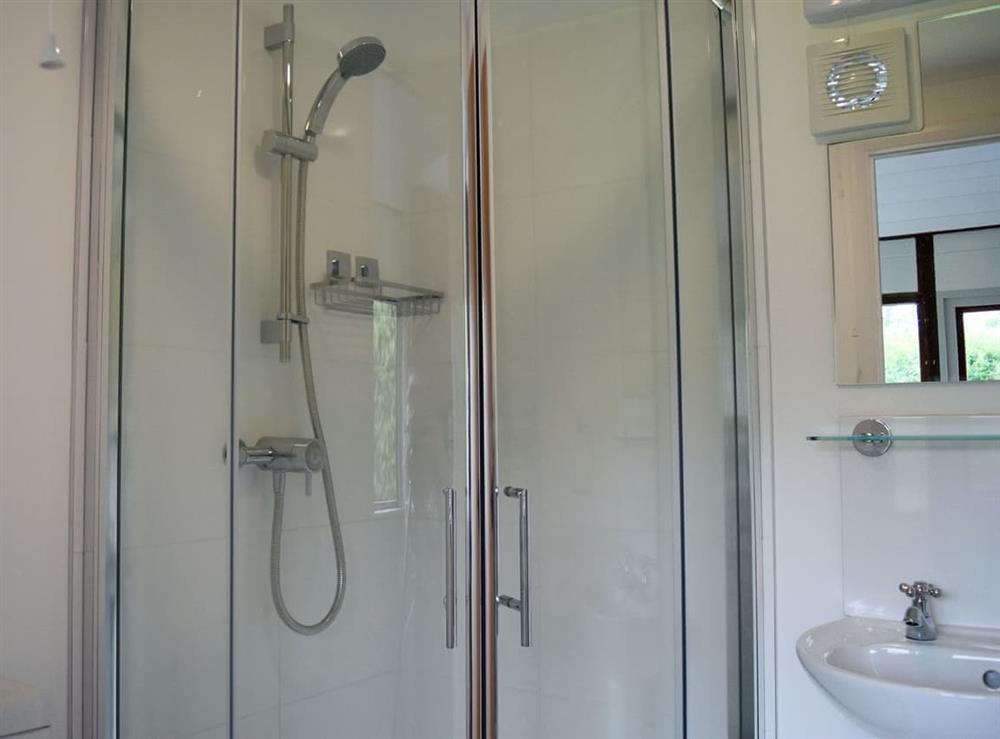 Shower room with shower cubicle at Italian Carriage, 