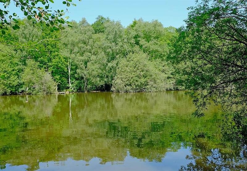 The lake at Brokerswood Holiday Park in Southwick, Wiltshire