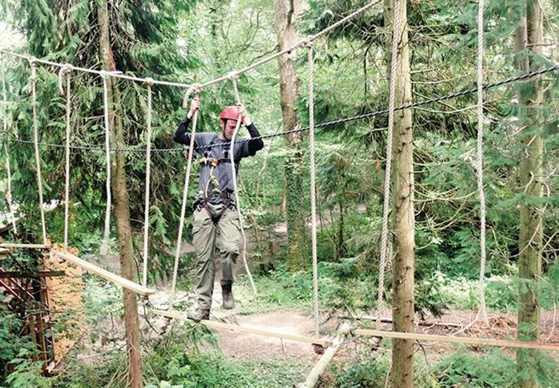 Try the high-ropes at Brokerswood Holiday Park in Southwick, Wiltshire