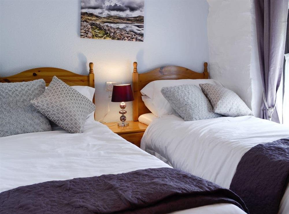 Peaceful twin bedroom at Bron Elan in Dolwyddelan, near Betws-y-Coed, Gwynedd
