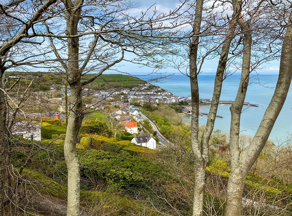 View
