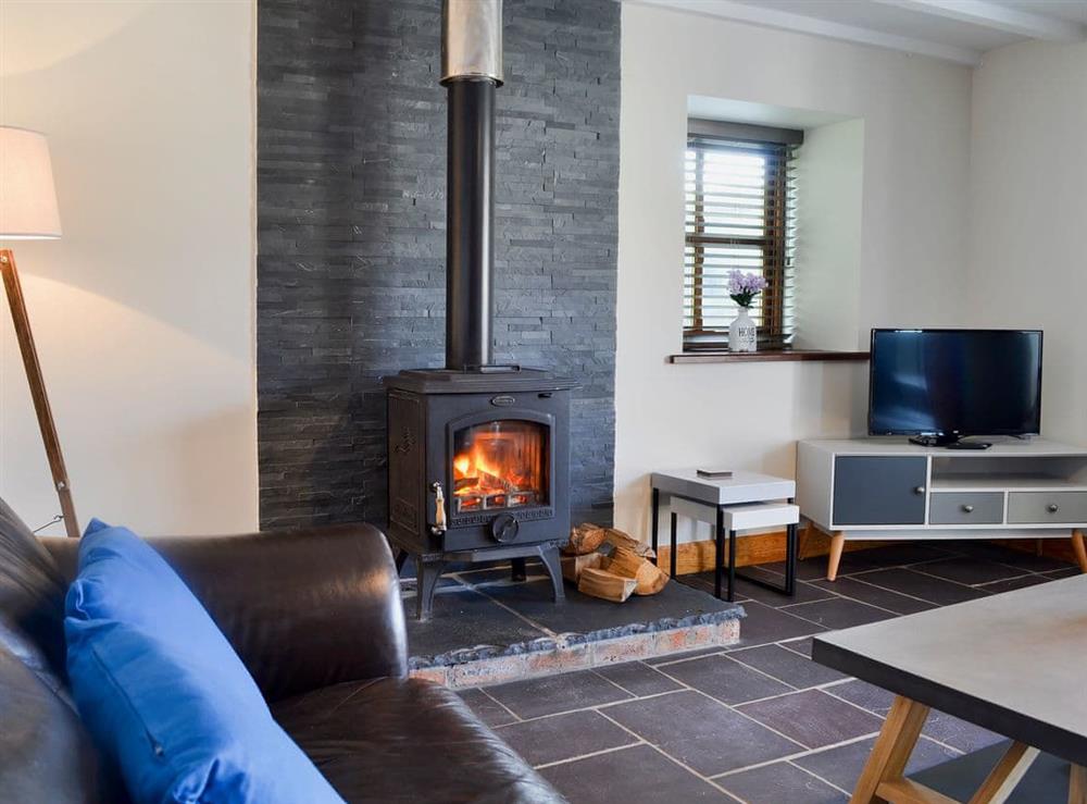 Spacious and warm living room with wood burner (photo 2) at Yr Hen Stabal, 