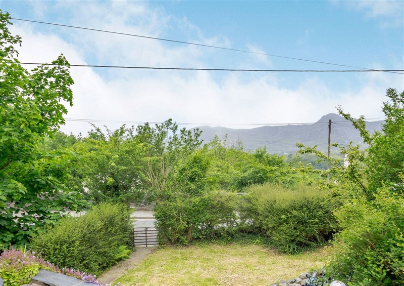 This is the garden at Brondderwen, Blaenau Ffestiniog