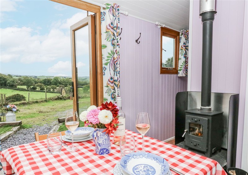 Outside Brondel Luxury Shepherd's Hut at Brondel Luxury Shepherds Hut, Aberystwyth