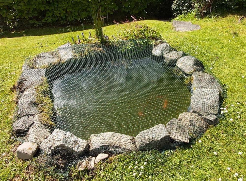 garden pond with safety net at Bronhaul in Dolfach, near Llanbrynmair, Powys