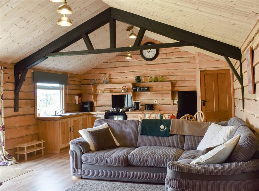 Open plan living space at Brook Barn Farm Cabin in Liskeard, Cornwall