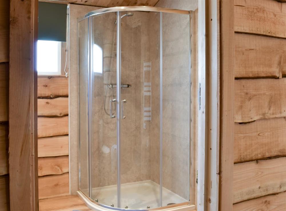 Shower room at Brook Barn Farm Cabin in Liskeard, Cornwall