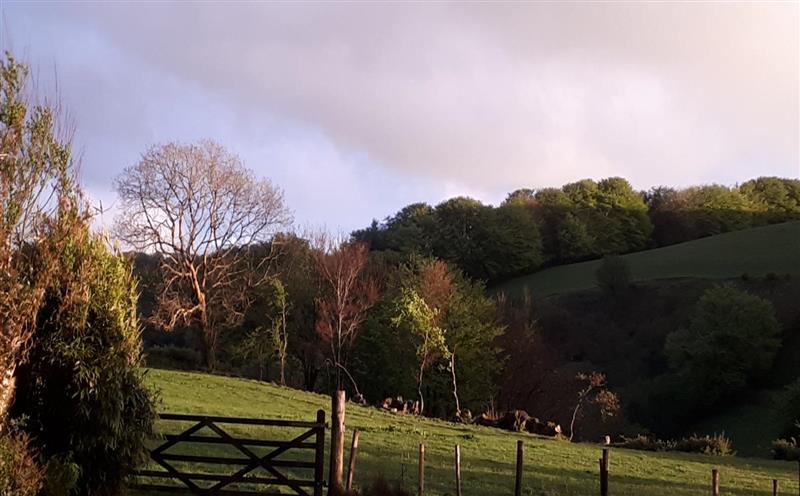 The setting of Brook Cottage