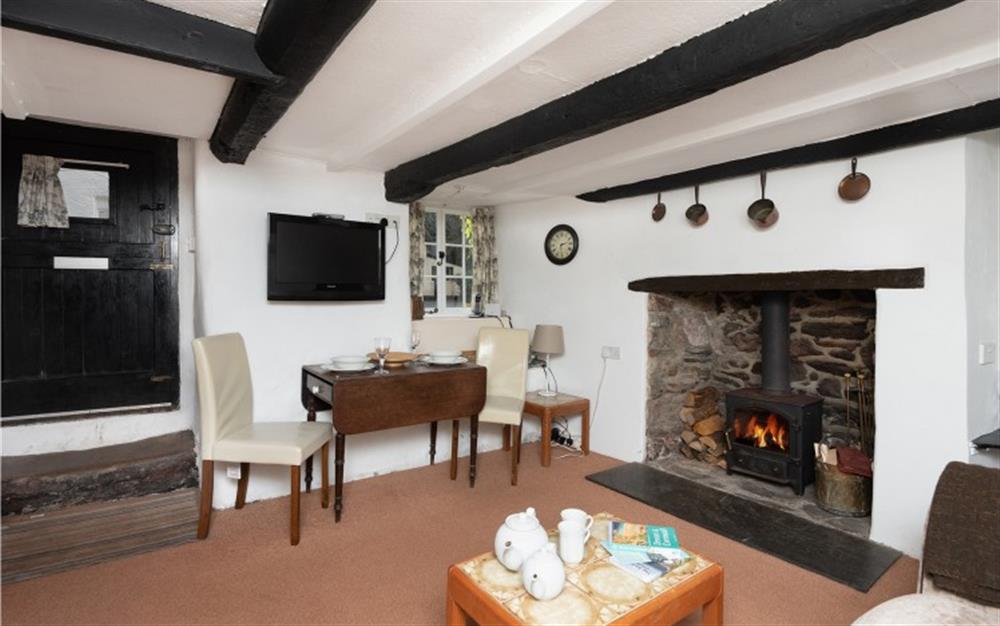 A closer look at the log burner at Brook Cottage in Hope Cove