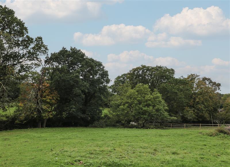 The setting (photo 5) at Brook Farm, Shobley near Ringwood