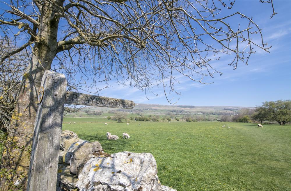 Local walks from your doorstep at Brook House, Askrigg, North Yorkshire