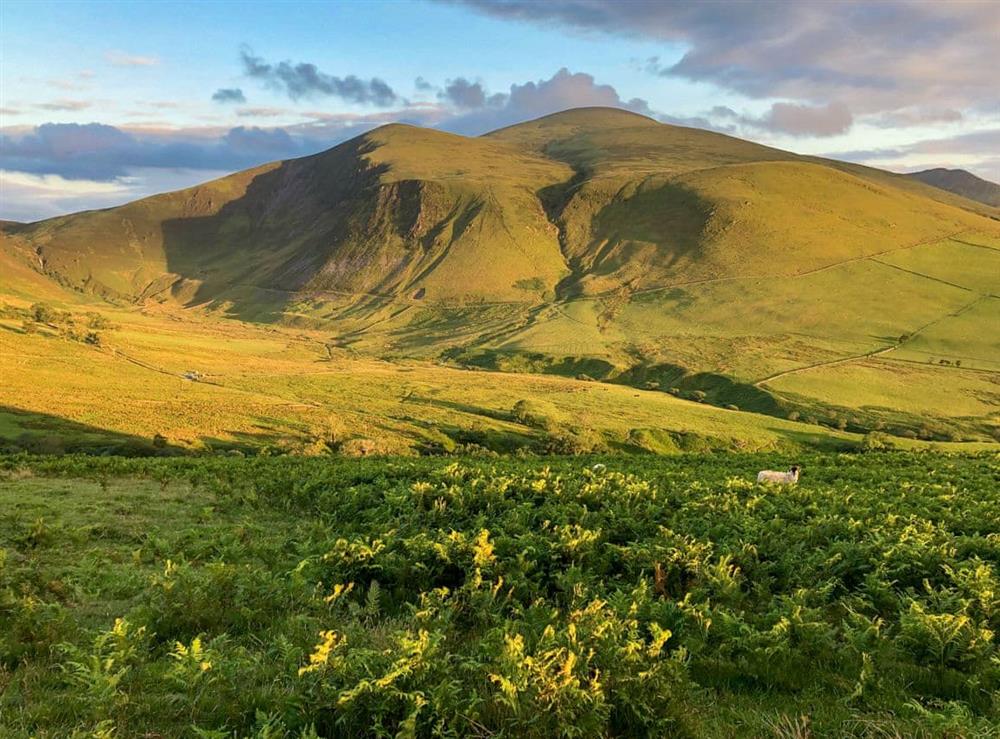 Skiddaw mountain range walkable from the cottage or after a short drive at Brook House 2, 