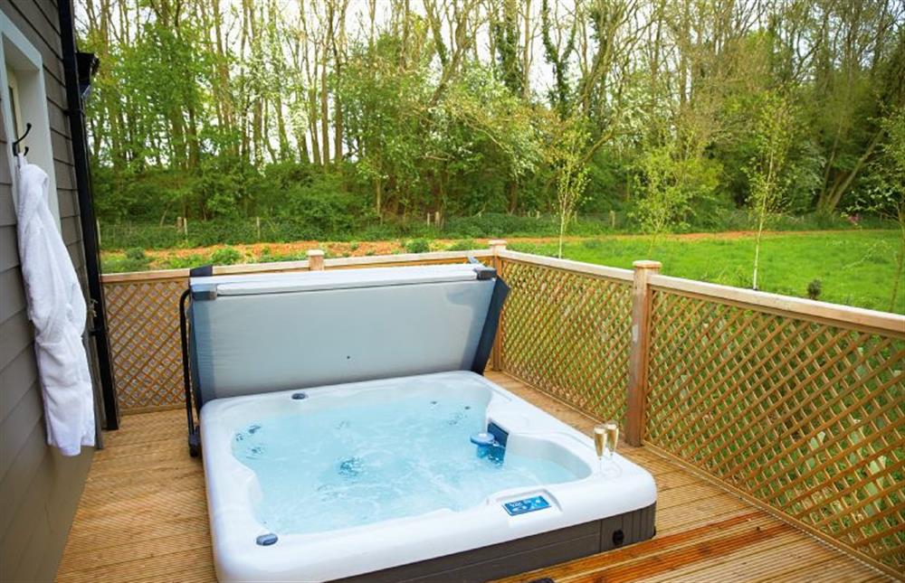 Decked area with garden furniture and hot tub (photo 2) at Brook Lodge, Colne Valley